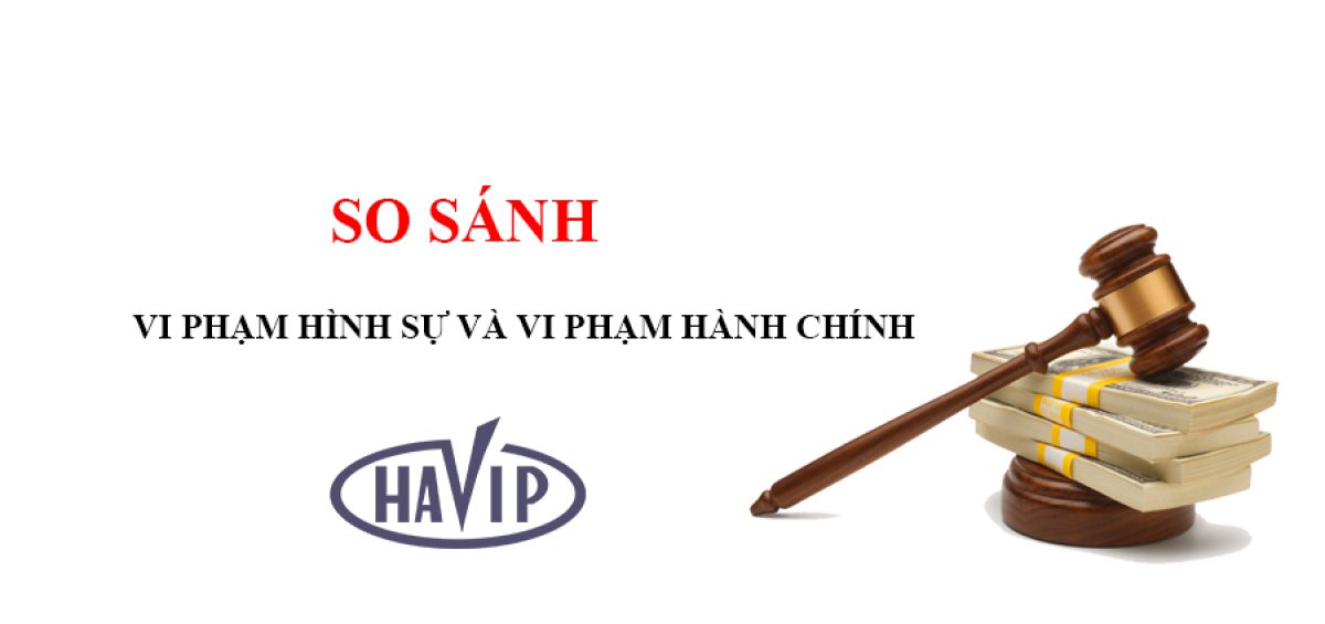 So Sanh Vi Pham Hinh Su Va Vi Pham Hanh Chinh