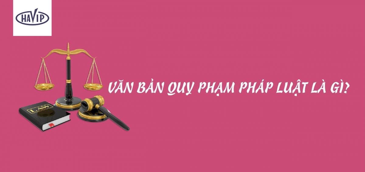 Van Ban Quy Pham Phap Luat La Gi Anh Minh Hoa