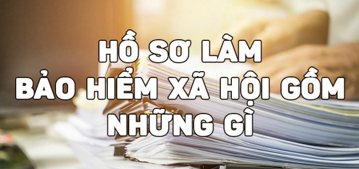 Ho So Lam Bao Hiem Xa Hoi Gom Nhung Gi