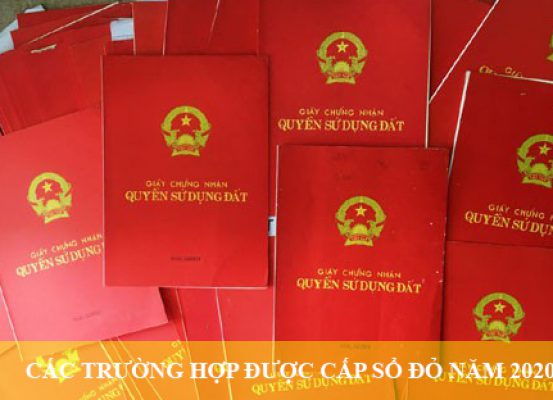 Co Toi 15 Truong Hop Duoc Cap So Do Nam 2020