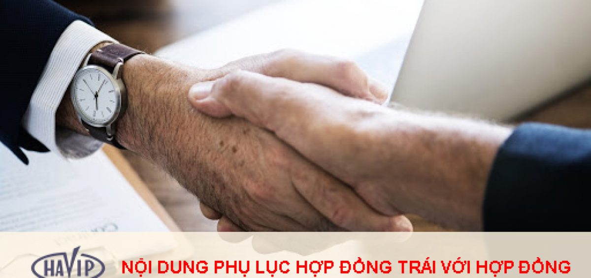 Noi Dung Phu Luc Hop Dong Trai Voi Hop Dong Thi Phai Lam Sao